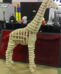 3d Puzzle Giraffe