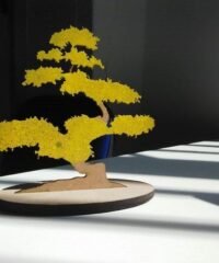Bonsai Tree