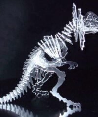 Ceratopsier