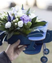 Flower Pot In Airplane Shape