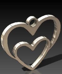 Heart in heart