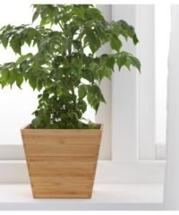 Plant Pot Flower Holder