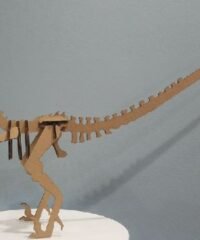 Raptor Dinosaur Velociraptor