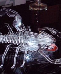Scorpion 3D puzzle