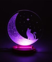 The Cat And The Moon 3D Illusion Night Light