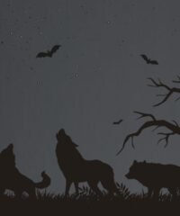 A picture of a wolf packa