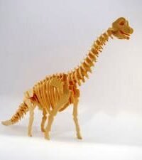 Brachiosaurus 3D Puzzle