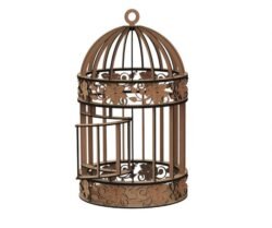 Cage Template Cage Template
