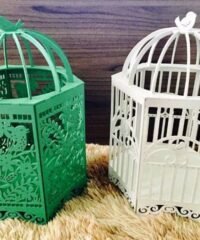 Cool Cage