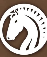 Design Horse