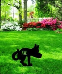 Dog on the grass