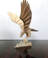 Hawk