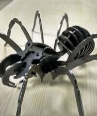Spider