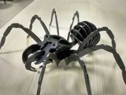 Spider Spider