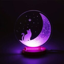 The Cat And The Moon 3D Illusion Night Light The Cat And The Moon 3D Illusion Night Light