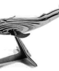 Wooden Whale