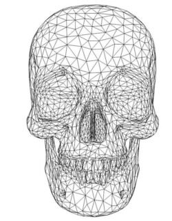 3D illusion led lamp human skullfree 3D illusion led lamp human skullfree