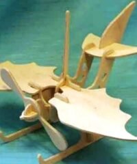 Bat wing aircraft