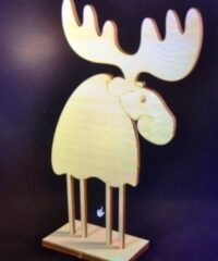 Cute deer
