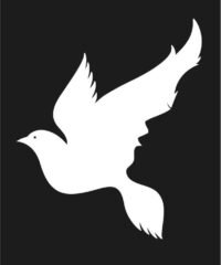 Girl and bird illusion
