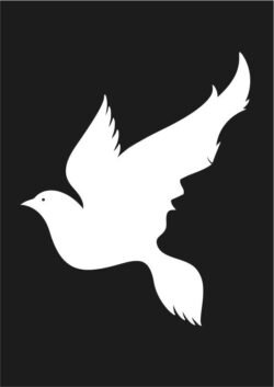 Girl and bird illusion Girl and bird illusion