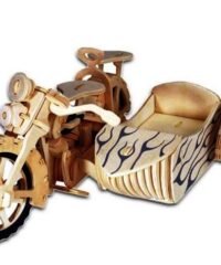 Motorcycle with sidecar