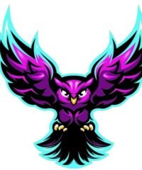 Multilayer owl