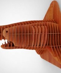Shark head