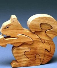Squirrel family Squirrel family