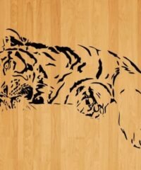Tiger lies down