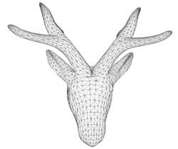 Deer Head Deer Head