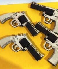 Gun