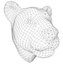 Lion Lion