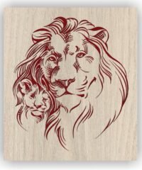Lion father and son