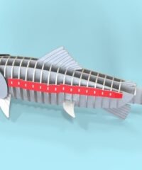 Salmon file