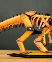 Tyrannosaurus dinosaur