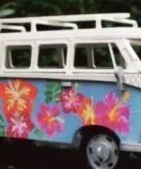 VW car