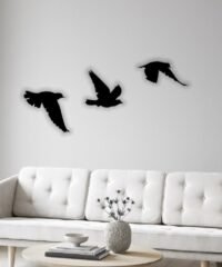 Birds