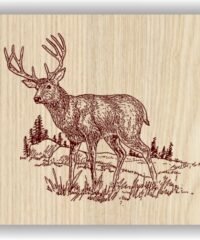 Deer