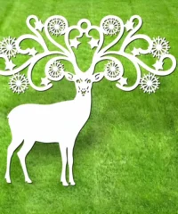 Deer