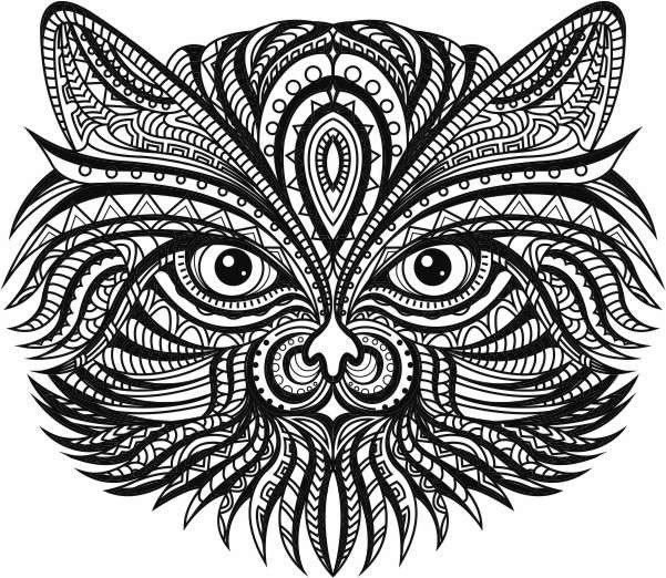 Ethnic cat