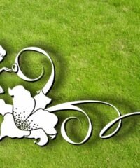 Fairies with lily