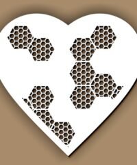 Heart with honeycomb
