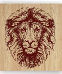 Lion head