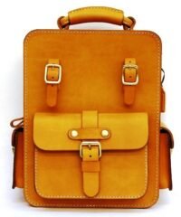 Men's leather bag