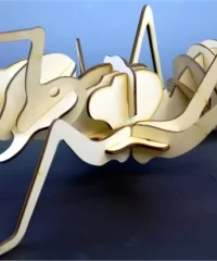Ant 3D puzzle