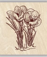 Autumn flower