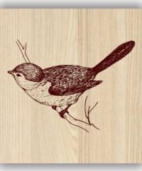 Birds on tree branch