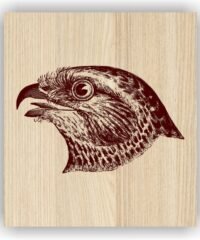 Eagle head