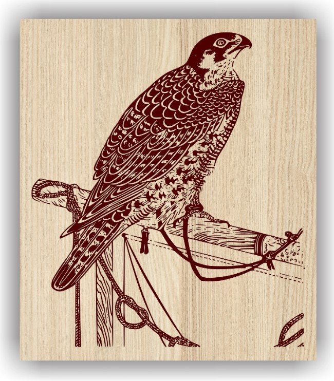 Eagle